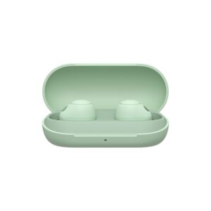 Sony WF-C700N Noise Cancellation Bluetooth Earbuds with Mic, TWS, Up to 20Hrs Battery, Adaptive Sound Control- Sage Green