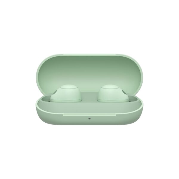 Sony WF-C700N Noise Cancellation Bluetooth Earbuds with Mic, TWS, Up to 20Hrs Battery, Adaptive Sound Control- Sage Green